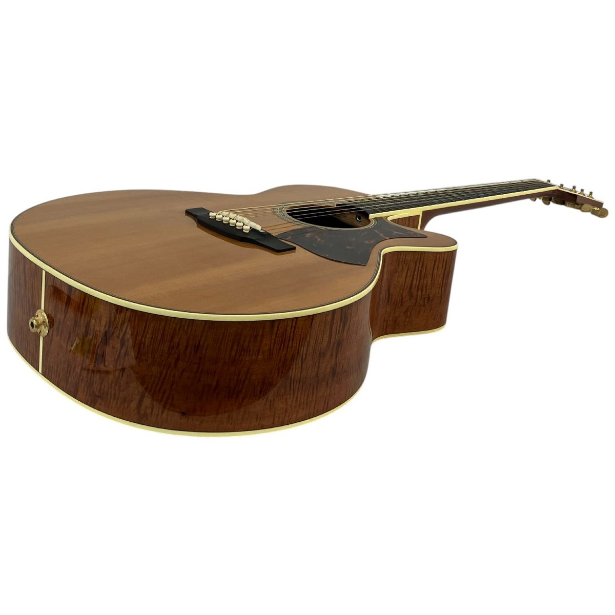 takamine アコースティックギター エレアコ 専用ケースあり 楽天市場】takamine ハードケース（エレアコギター｜ギター