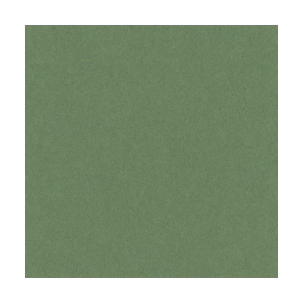 リンテック ニューカラーR 四つ切 オリーブ 4NCR-316 1パック(100枚)