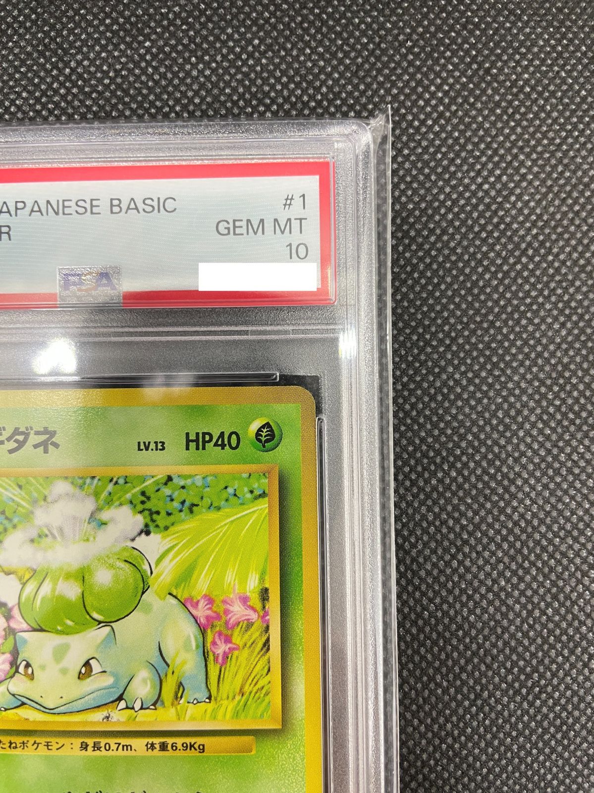 PSA鑑定品】旧裏 フシギダネ LV.13 PSA10 ポケカ - メルカリ