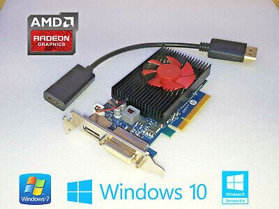 HP EliteDesk G3 G4 G5 G6 SFF ロープロファイル 2GB DVI DP x8 ビデオ カード + HDMI アダプター
