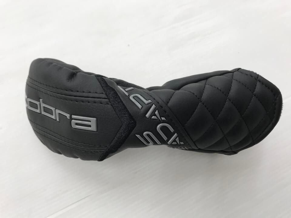 DS-ADAPT