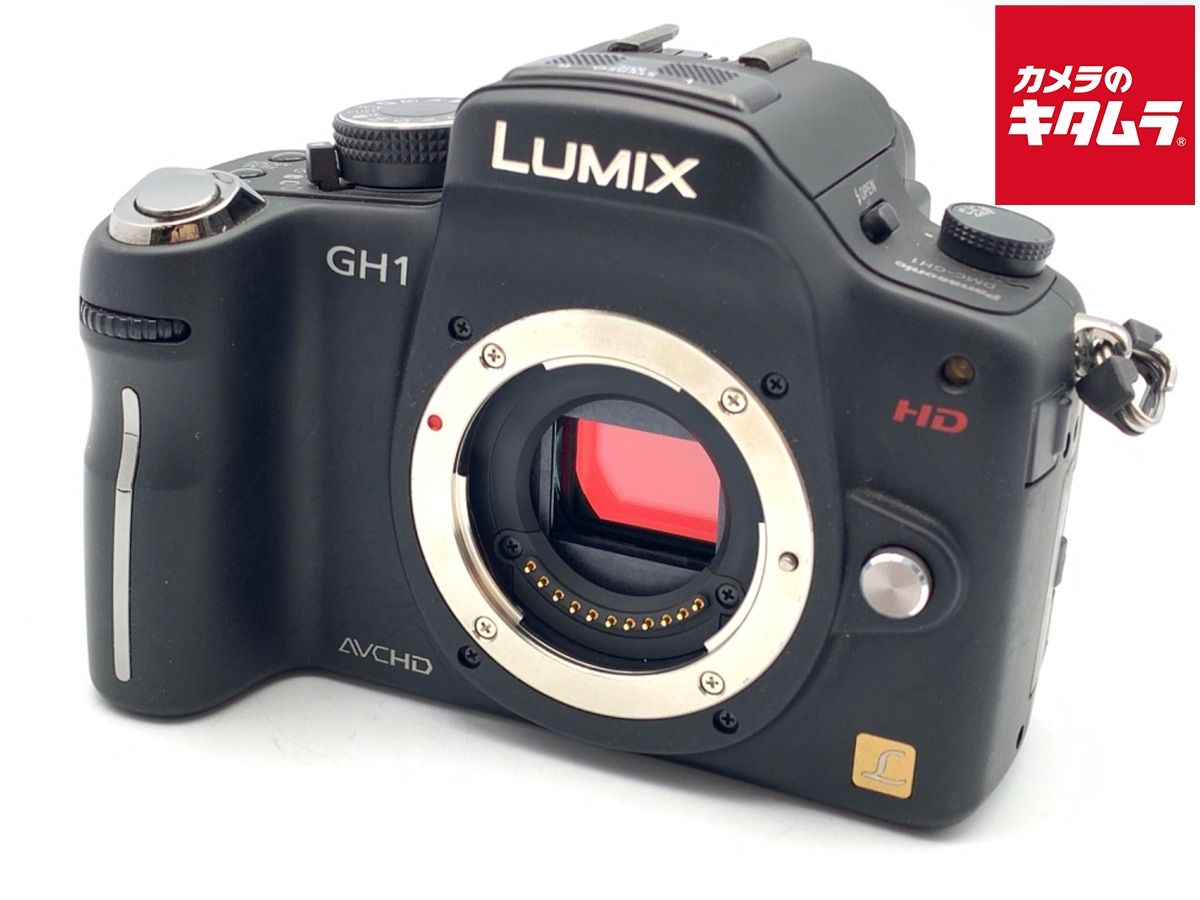パナソニック ミラーレスカメラ ルミックス DMC-GX1 ボディ 中古品