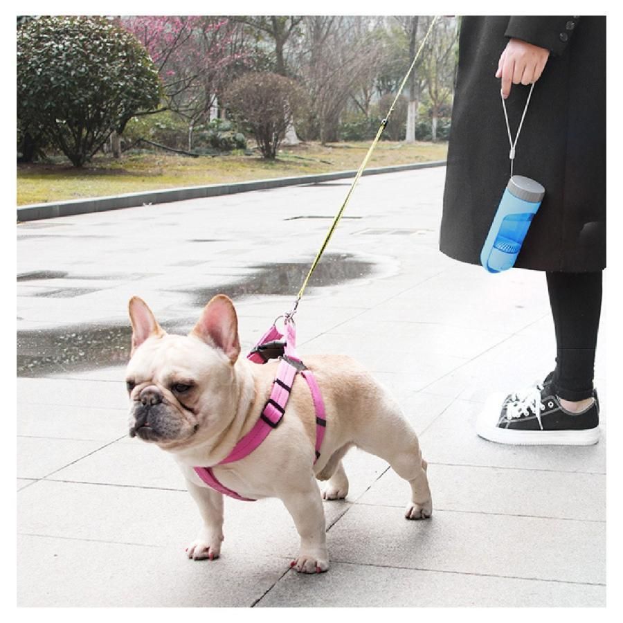 ペット用品 犬