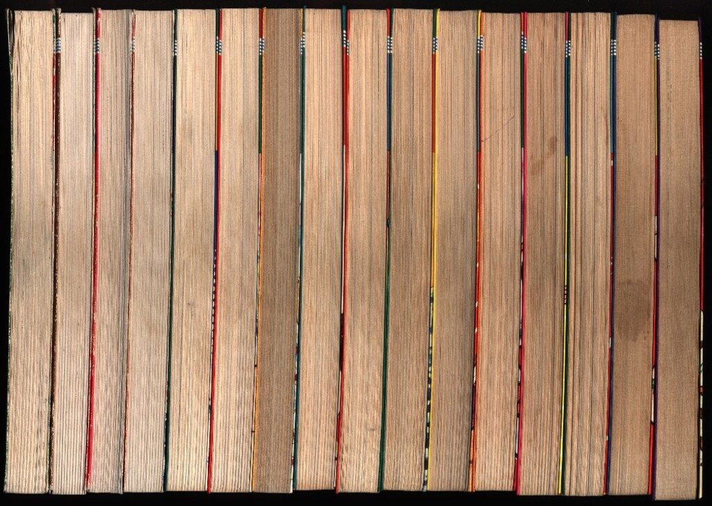 集英社 ジャンプコミックス 池沢さとし あらし!三匹 全16巻 再版セット WWW_USTAUSTRALIA_COM_AU