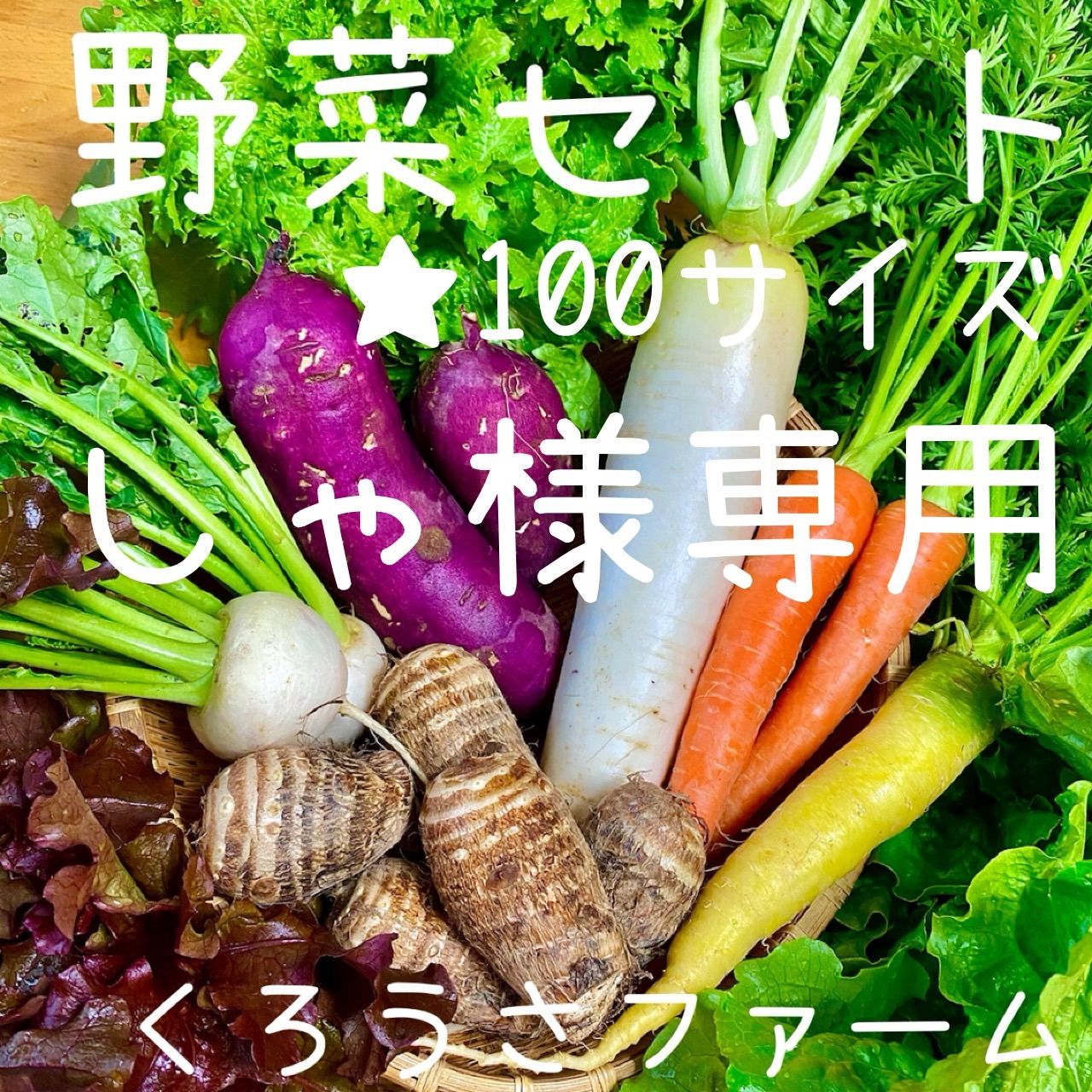 野菜詰め合わせ　(100サイズ　農薬不使用)