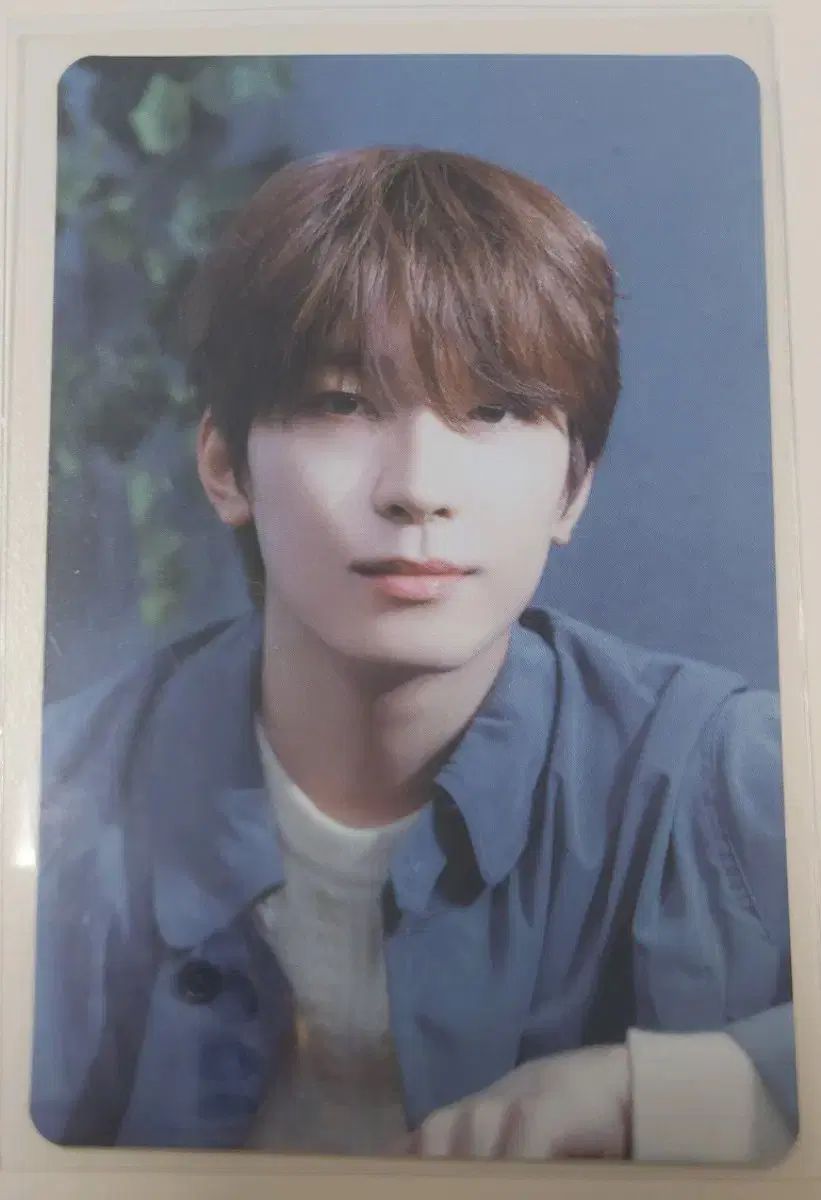 SEVENTEEN(セブンティーン・セブチ) ウォヌ(WONWOO) ウォヌ(WONWOO