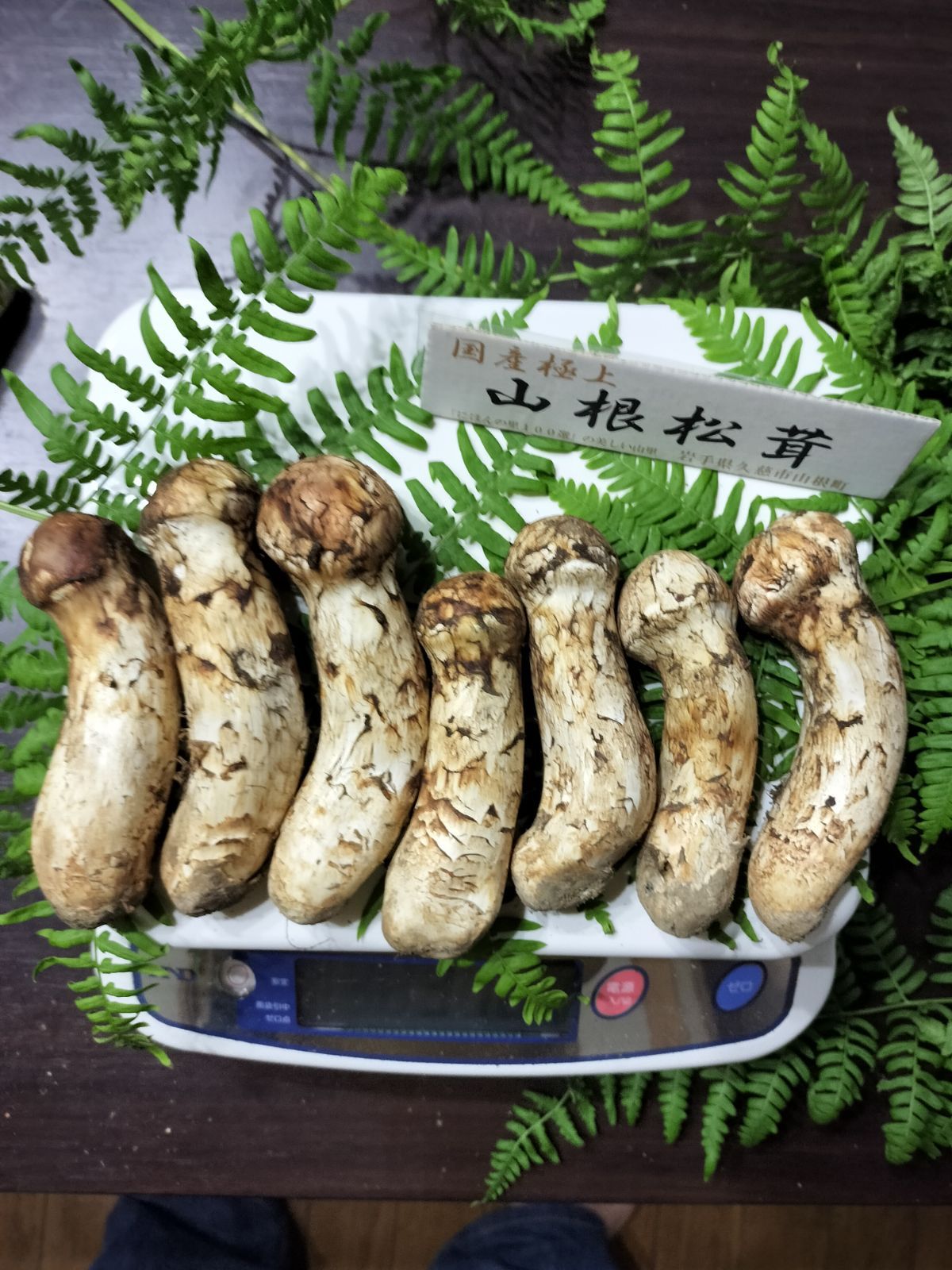 松茸 ミィ様専用 松茸 480g みぃみぃ様専用 国産(北海道) 松茸 松茸 ミィ様専用 松茸 480g みぃみぃ様専用 国産(北海道) 松茸
