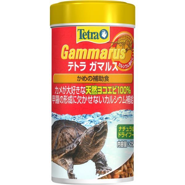 イワカメ様専用exoterra タイマーサーモ 3個セット 楽天市場】爬虫類