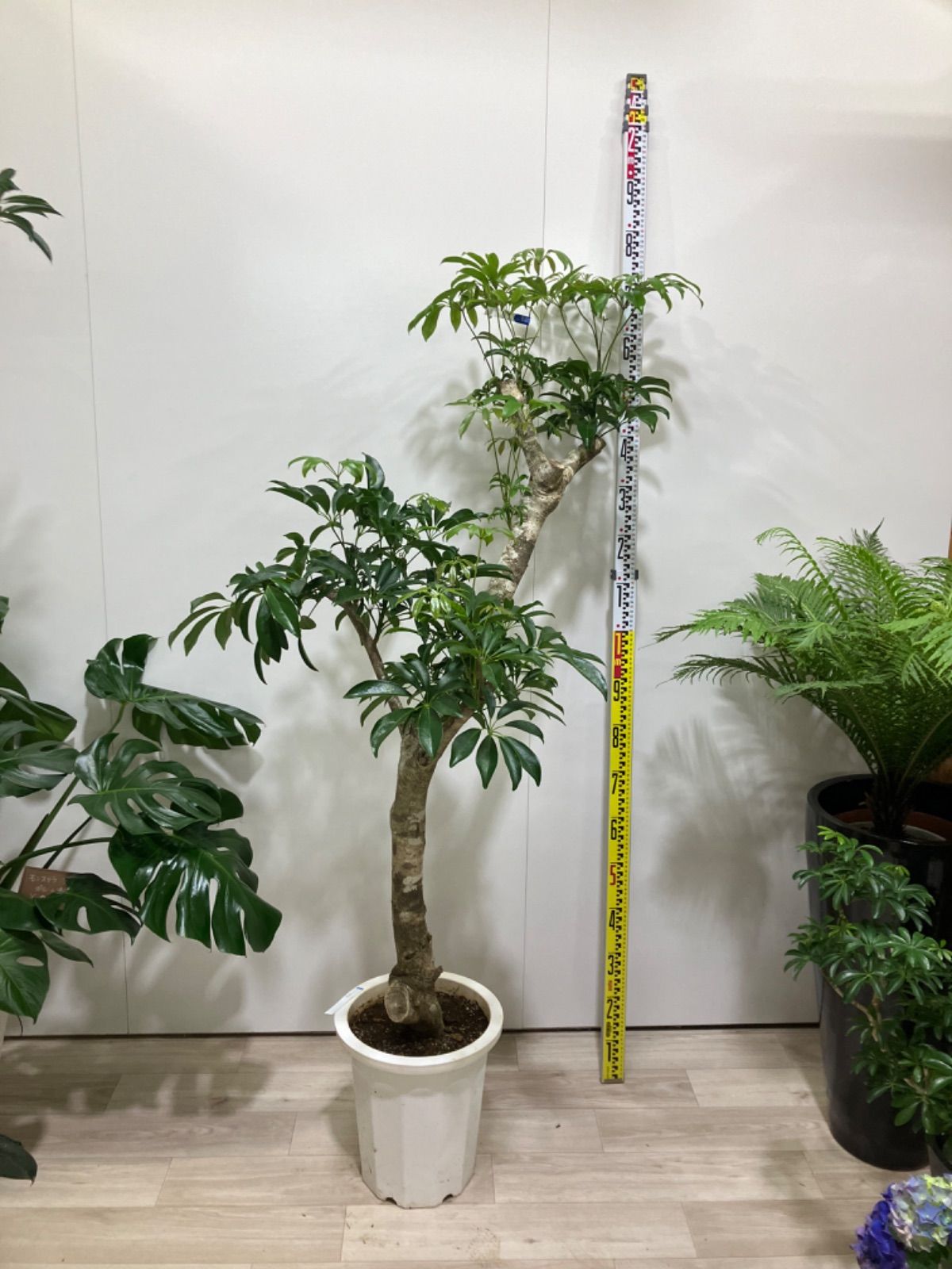 一点モノ 国産杉 ヴィンテージ調 三段プランターラック 【公式通販】