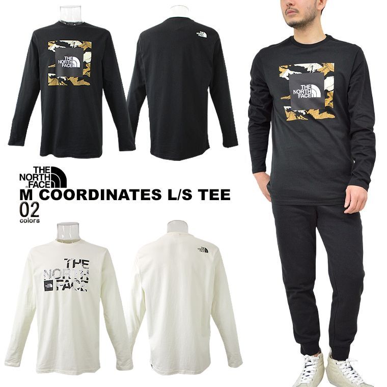 THE NORTH FACE COORDINATES L/S TEE ロングT