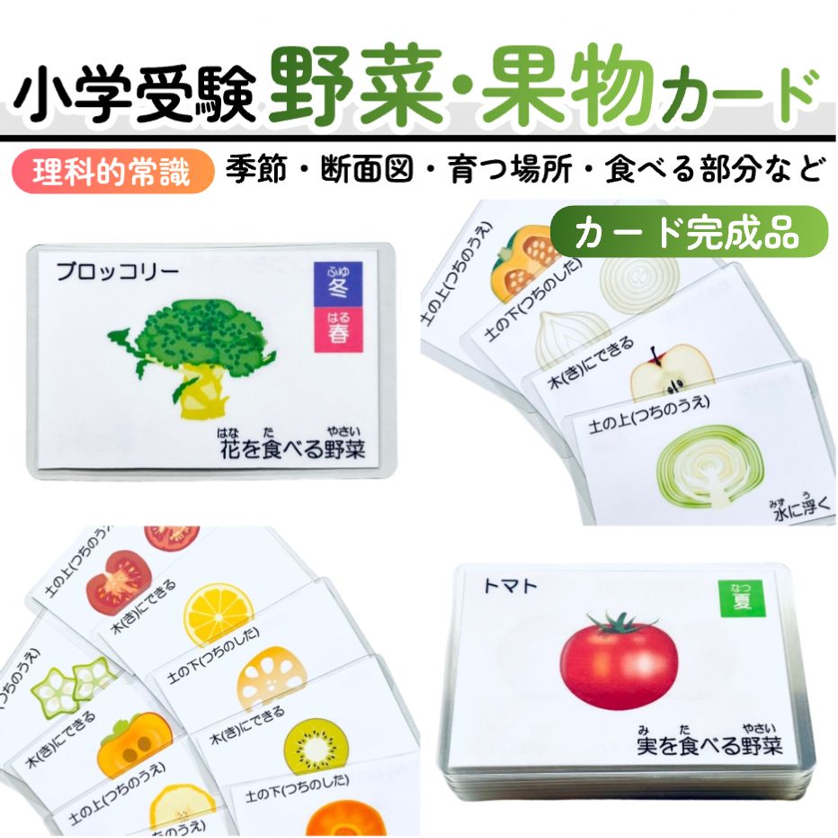 【完成品】野菜・果物カード　小学校受験教材　理科的常識　幼児教育　知育　断面図 完成品】野菜・果物カード 小学校受験教材 理科的常識 幼児教育