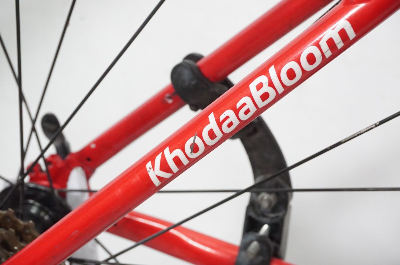 RAIL 2019年モデル