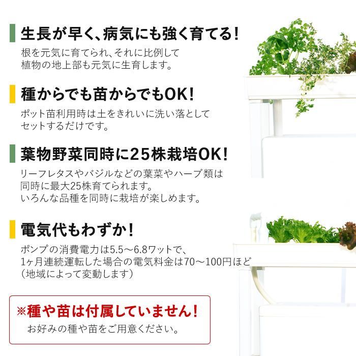 水耕栽培 ホームハイポニカ PLAABO プラーボ 水耕栽培キット 野菜 花 イチゴ 液体 肥料 スポンジ カントリーショップ メルカリ