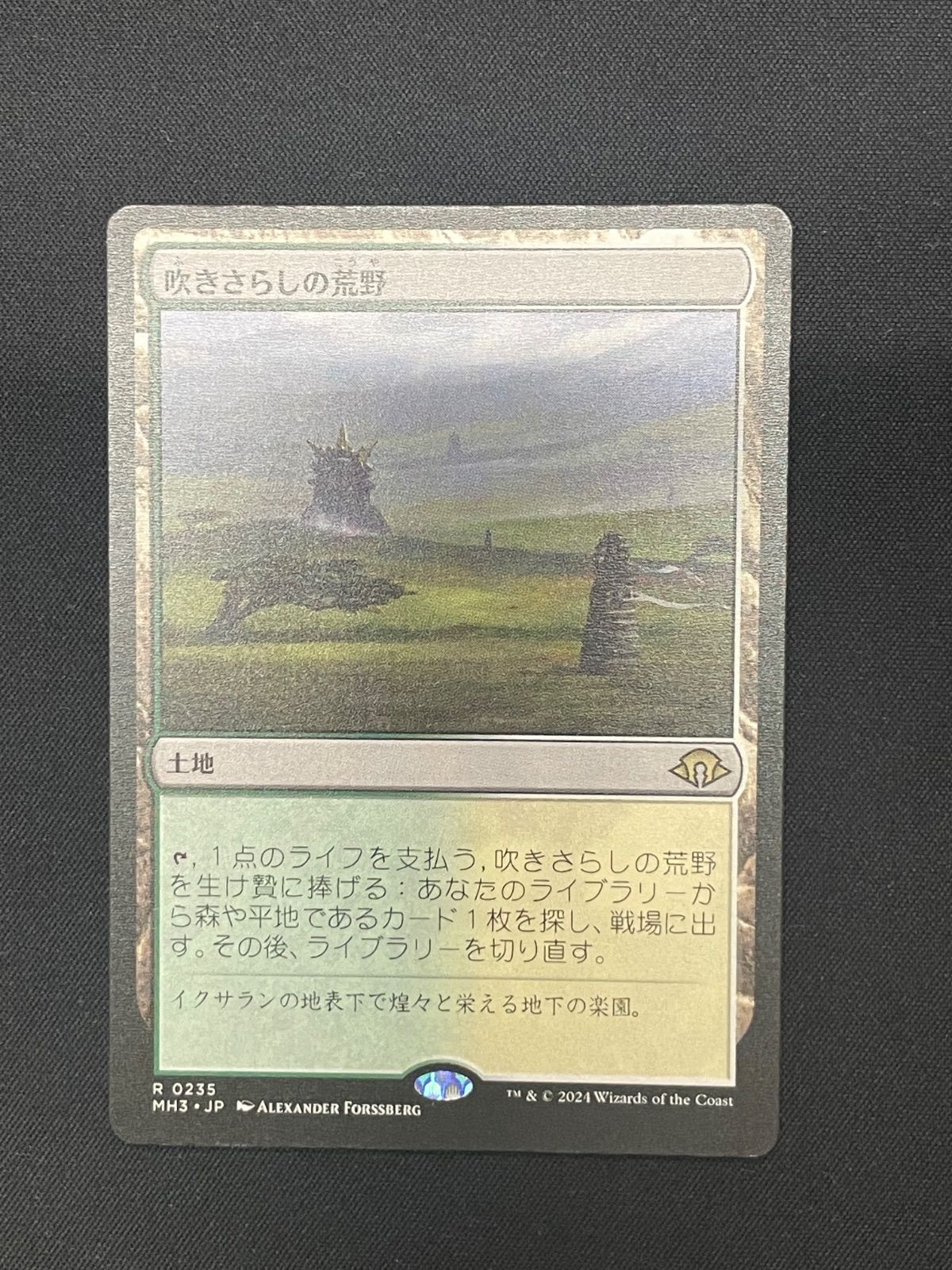 MTG 吹きさらしの荒野　日本語2 値下げ 吹きさらしの荒野/Windswept Heath》[ONS] 土地R | 日本最大級