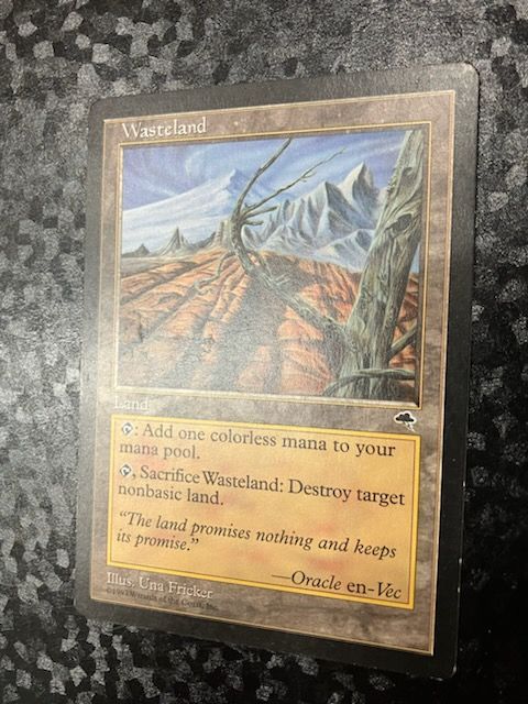 MTG 不毛の大地/Wasteland 英語４枚 MTG 不毛の大地