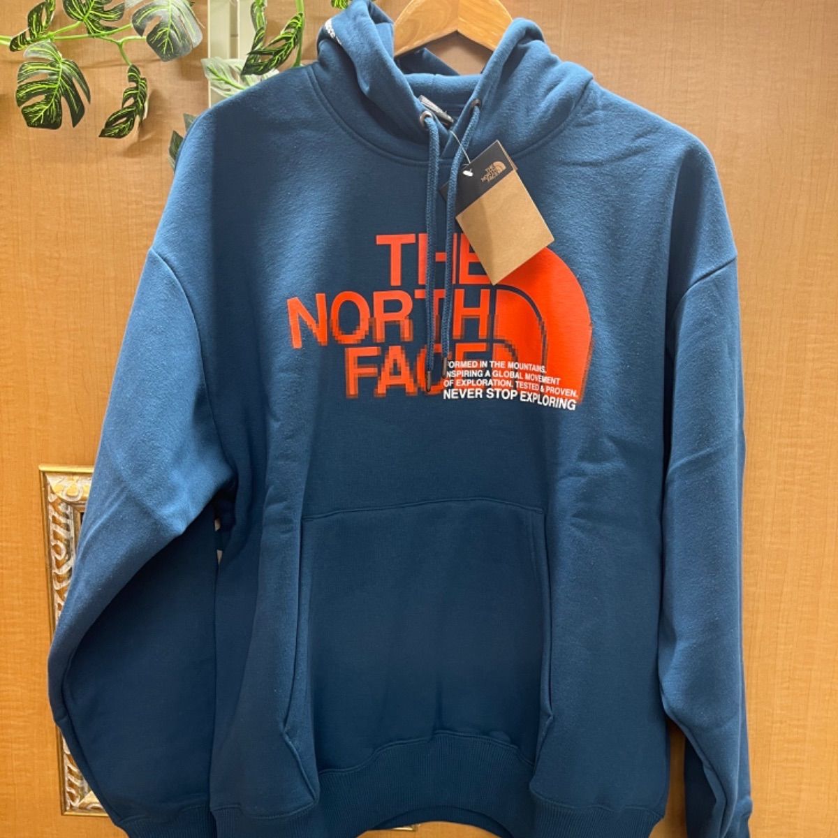 THE NORTH FACE 裏起毛 フーディー パーカー NF0A5GEOパッケージ ...