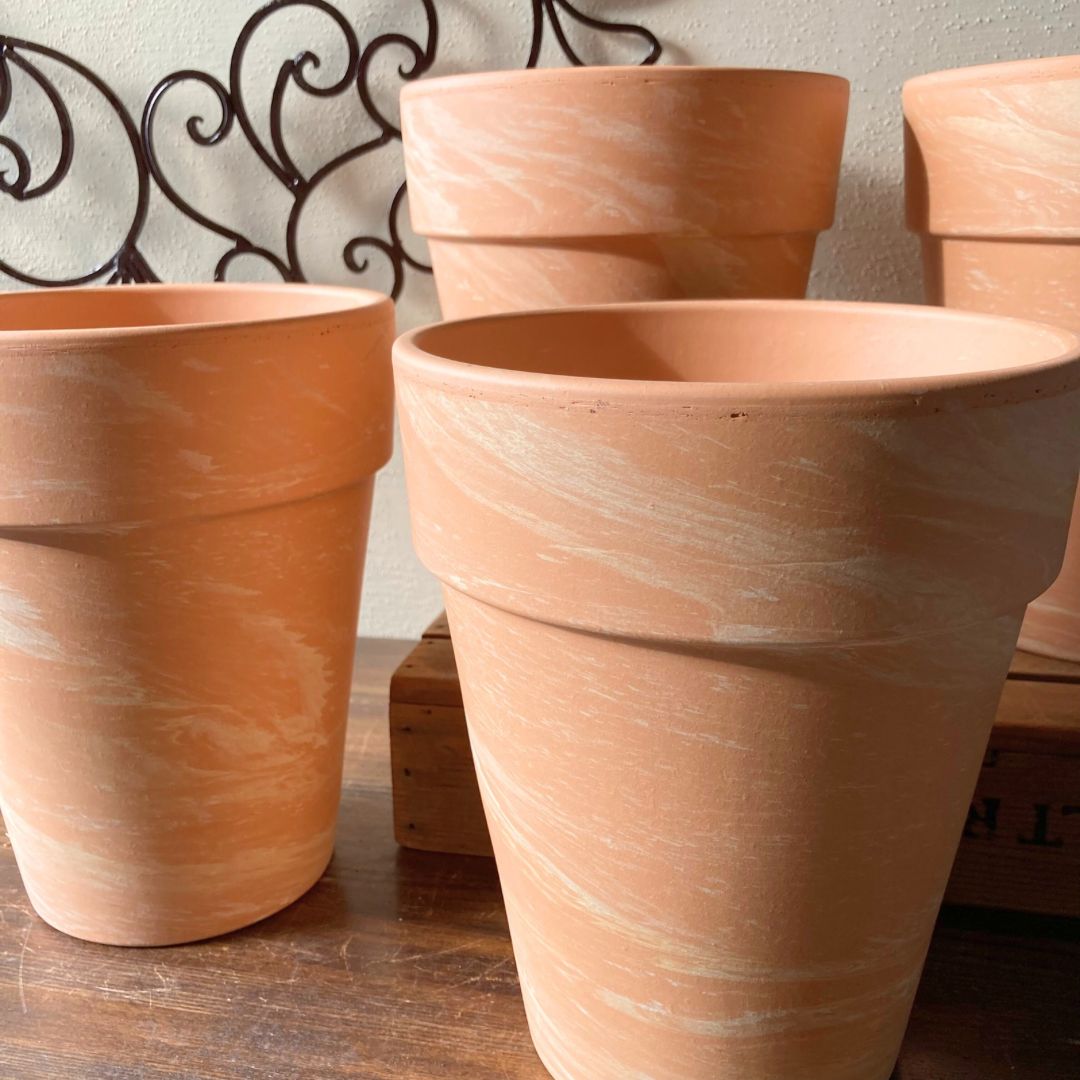 【ドイツ製テラコッタ鉢】 テラコッタ鉢 ドイツ製 スパング社 植木鉢 - メルカリ