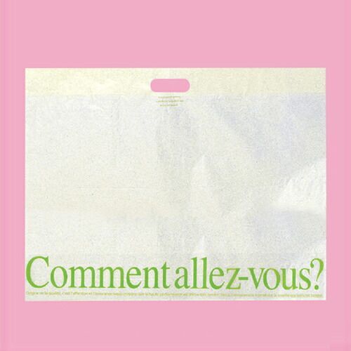 パリジェンヌ 100×65×底マチ20 30枚 61-801-2-2