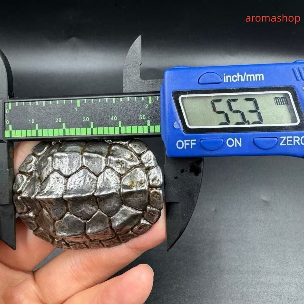 隕鐵 清代 旧蔵 チベット古寺 天鉄-隕石鉄 河図洛書・亀の甲羅