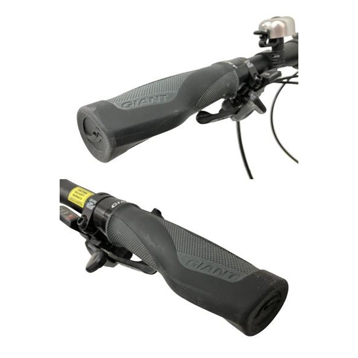 DISC 2019年モデル