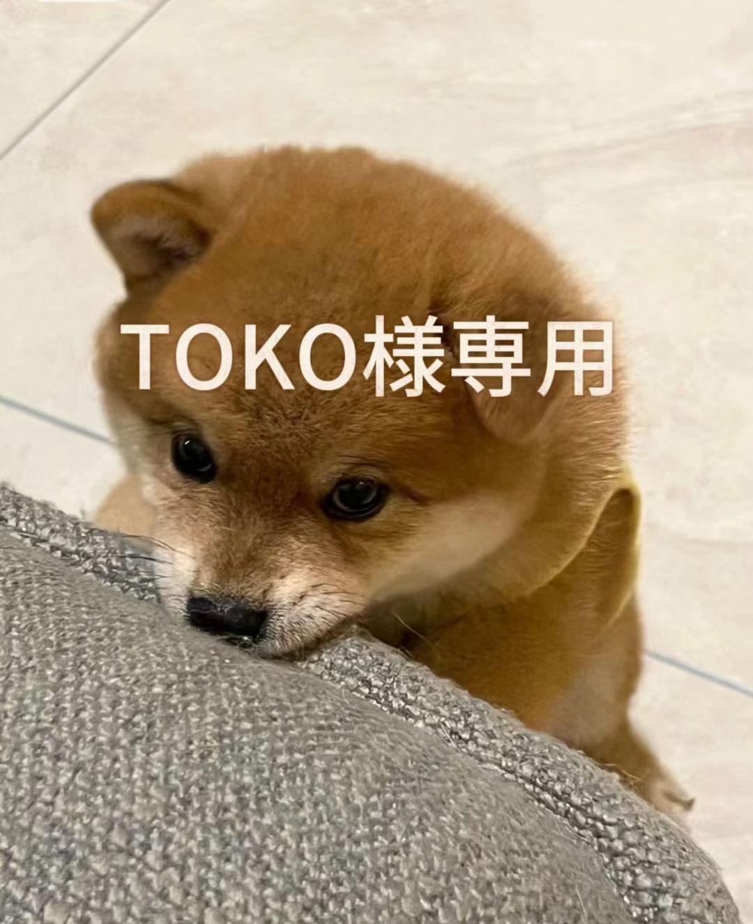 TOKO様の専用商品