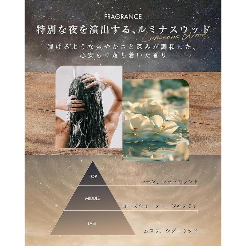 レニナ シャンプー トリートメント セット 美容室専売品 【たっぷり