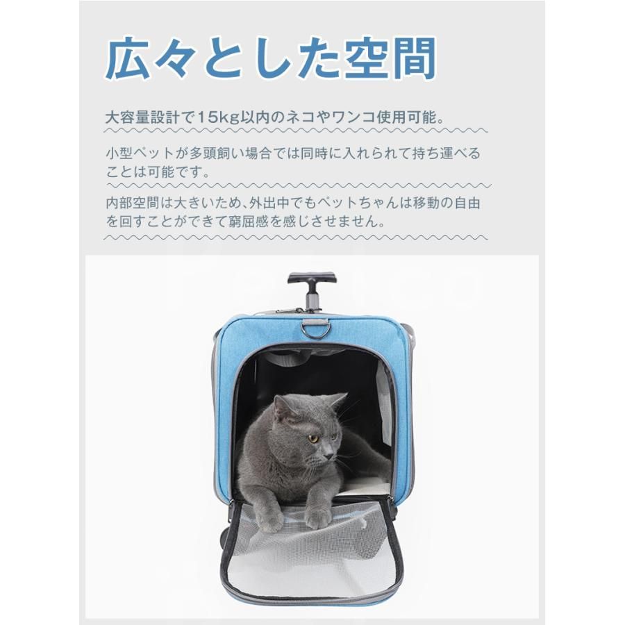 キャリー