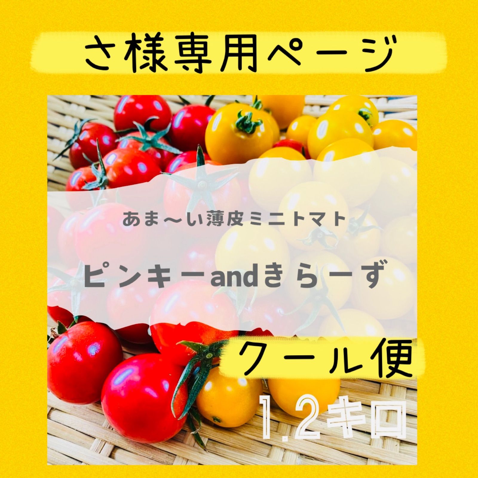 ピンキー姉様専用ページです。 ピンキー姉様専用ページです。