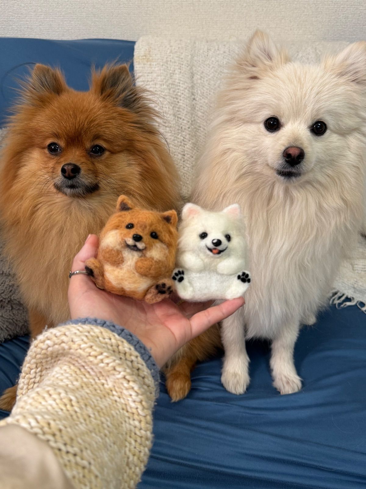オーダー可》まんまるあにまるず うちの子オーダー 羊毛フェルト