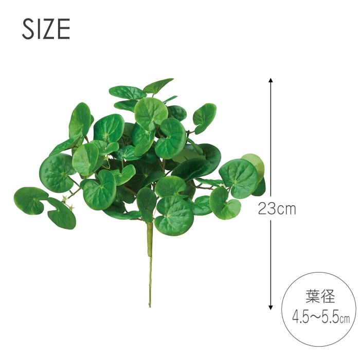 3営業日で発送 アスカ