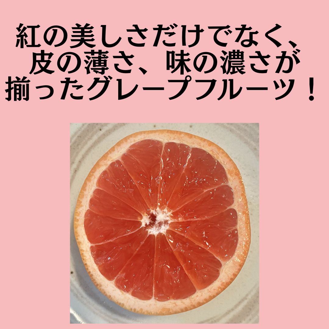 高知県産グレープフルーツ約4kg