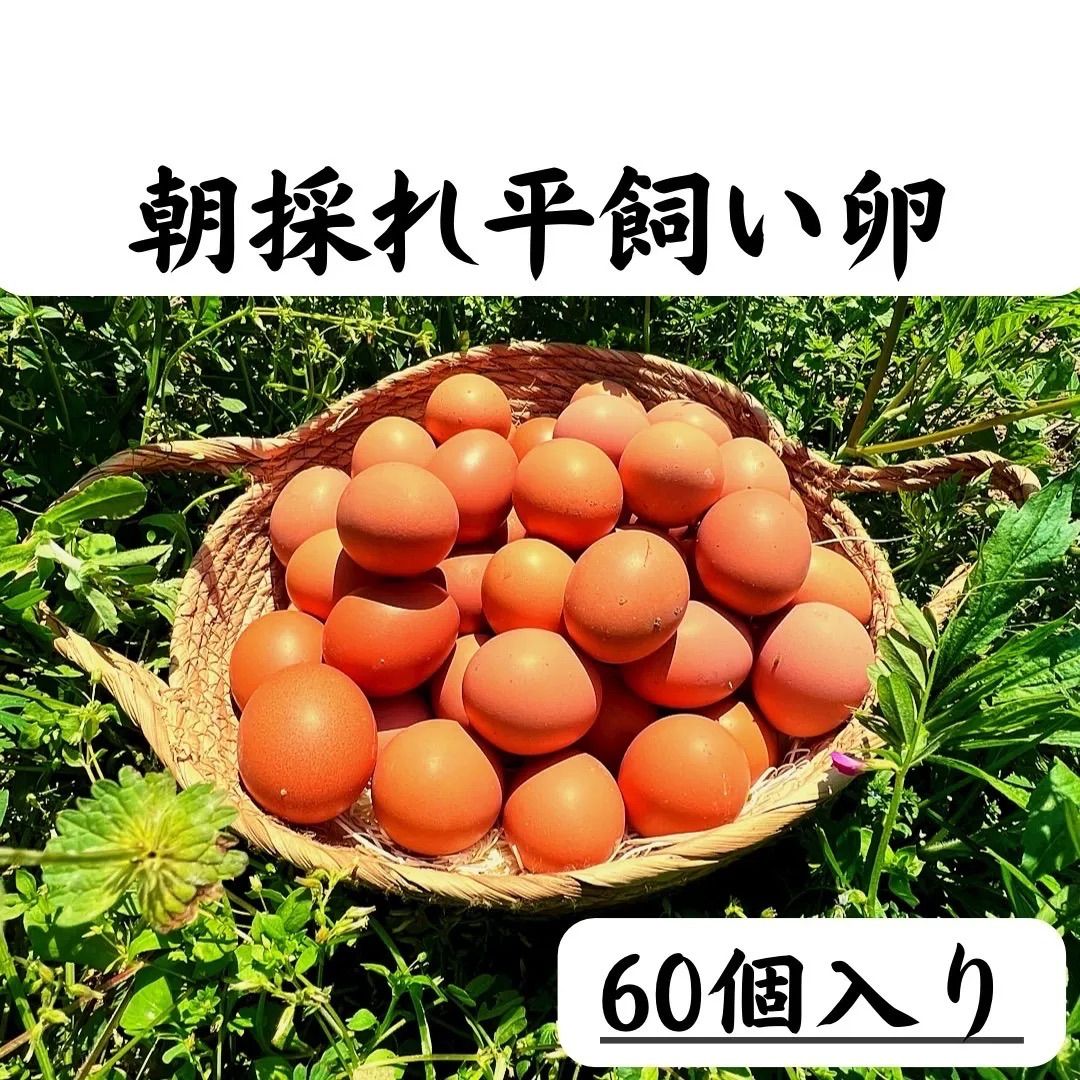 320個入り　宮下養鶏の朝採れ平飼い卵 200個入り 宮下養鶏の朝採れ平飼い卵