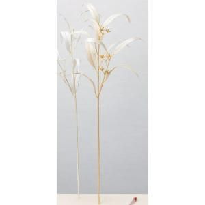 新品・3営業日で発送】アスカ(Asca) ユーカリ【価格変更】 (A