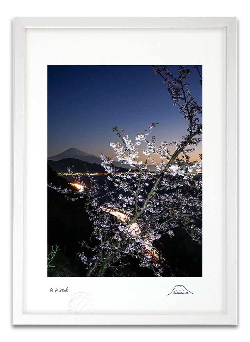 桜と富士山の写真 額入り