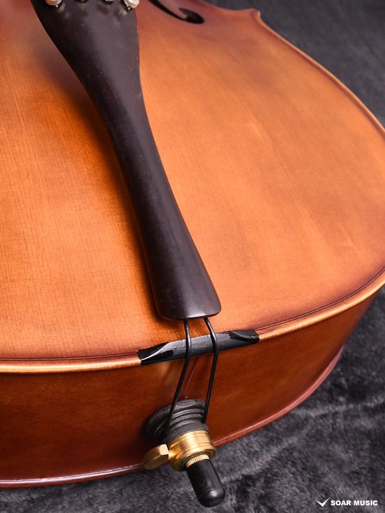 Amazon | スワルタンプーラ(スワルサンガム) / Swartampura(Swarsangam