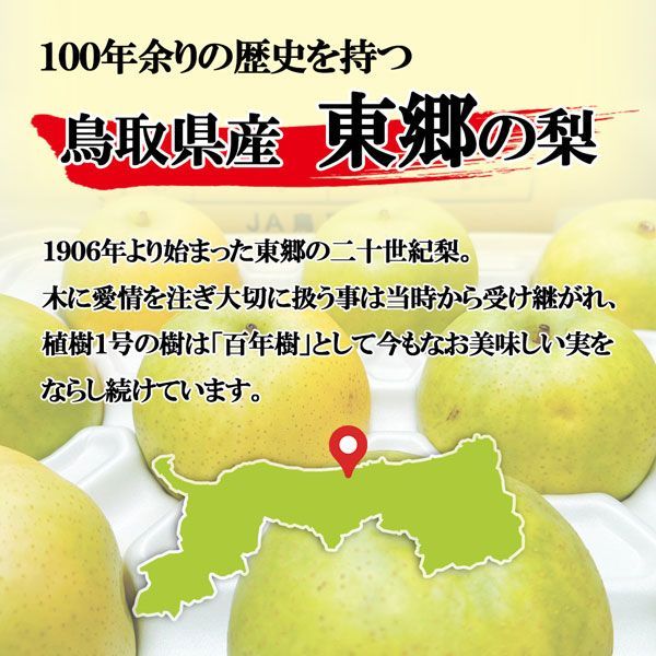東郷 鳥取県産