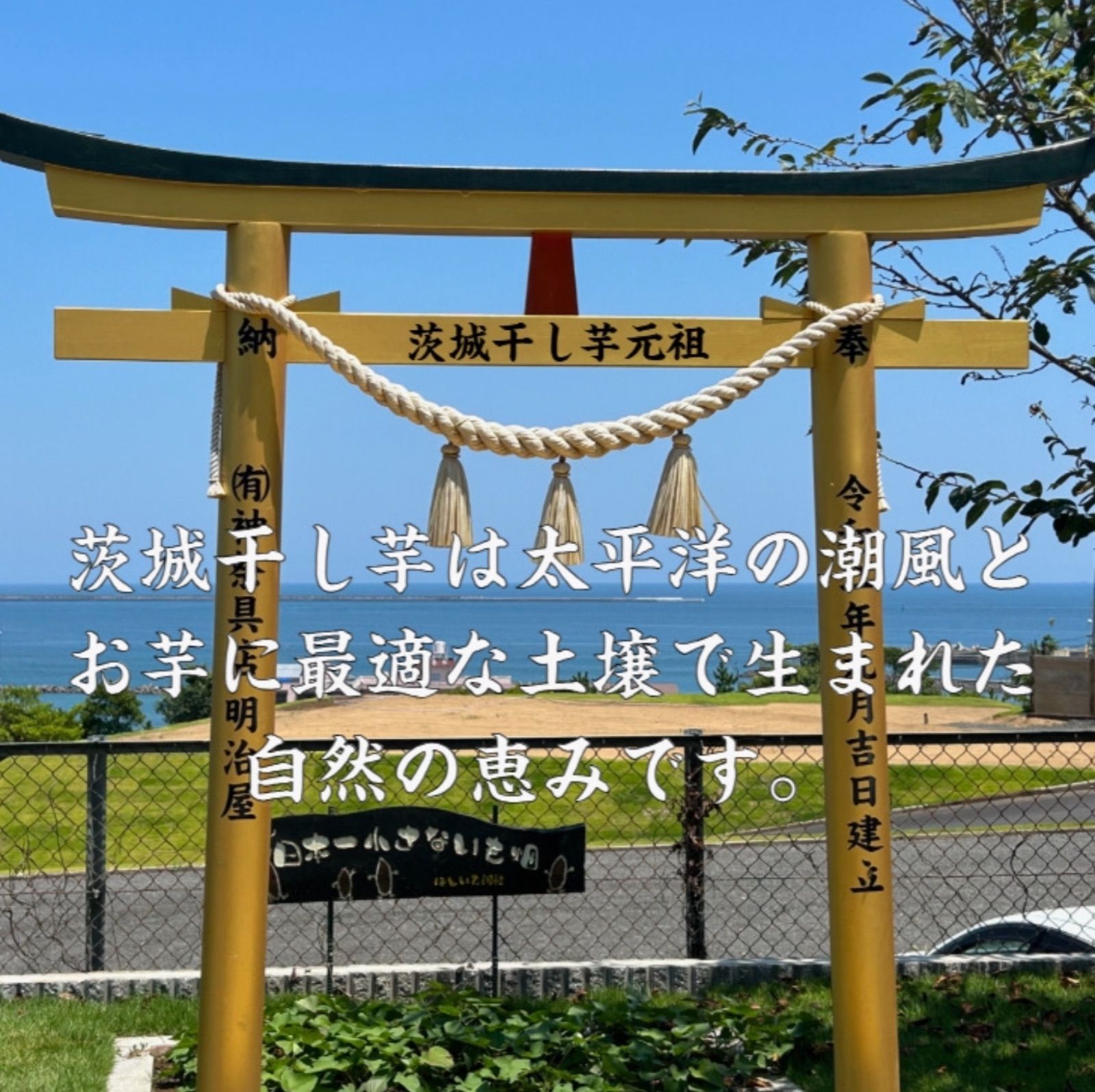 S3K 茨城県産 柔らかい甘い 黄金干し芋 訳あり 紅はるか 切り落とし3キロ S3K 茨城県産 柔らかい甘い 黄金干し芋 訳あり 紅はるか