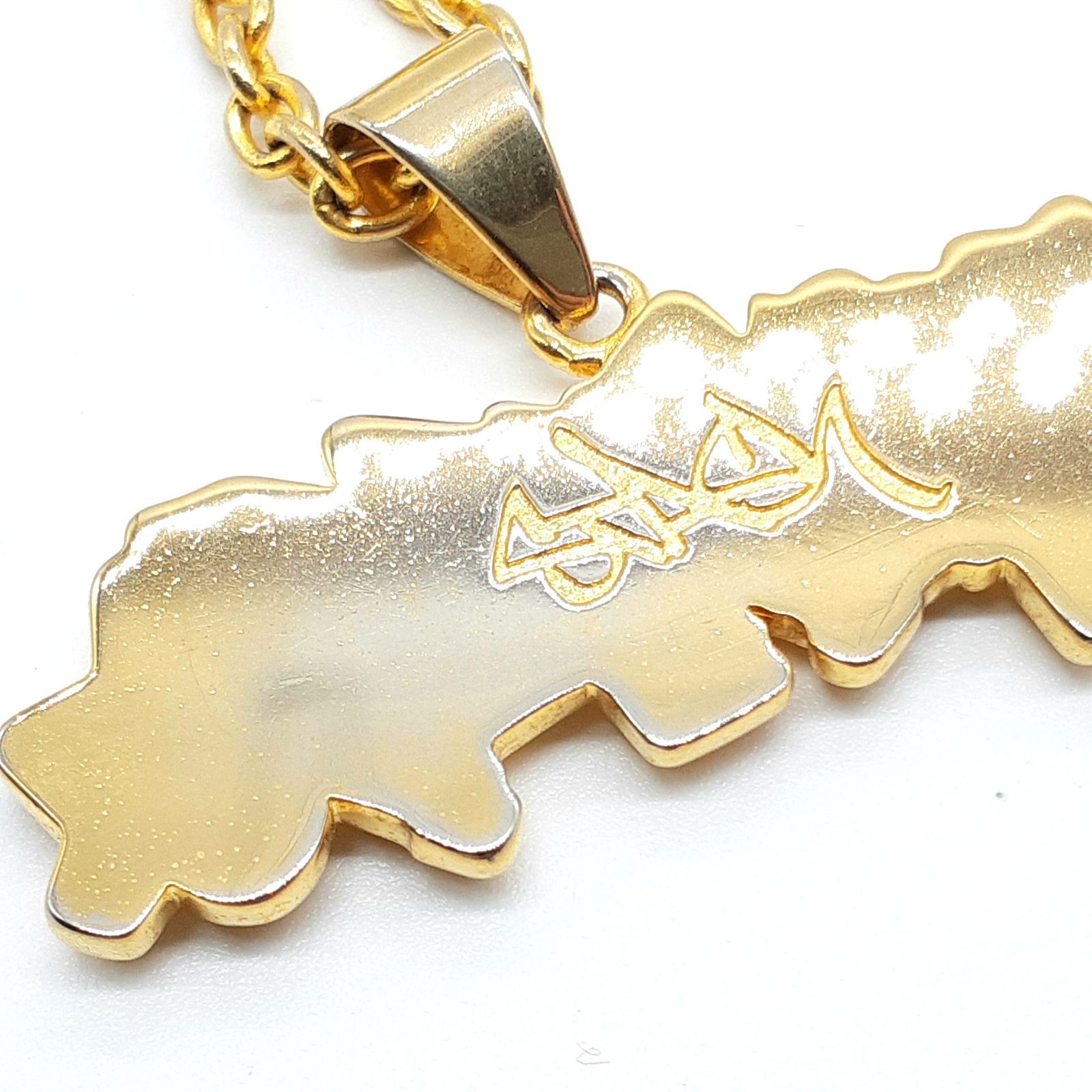 Lafayette ゴールドネックレス LFYT × STASH コラボ エルエフ