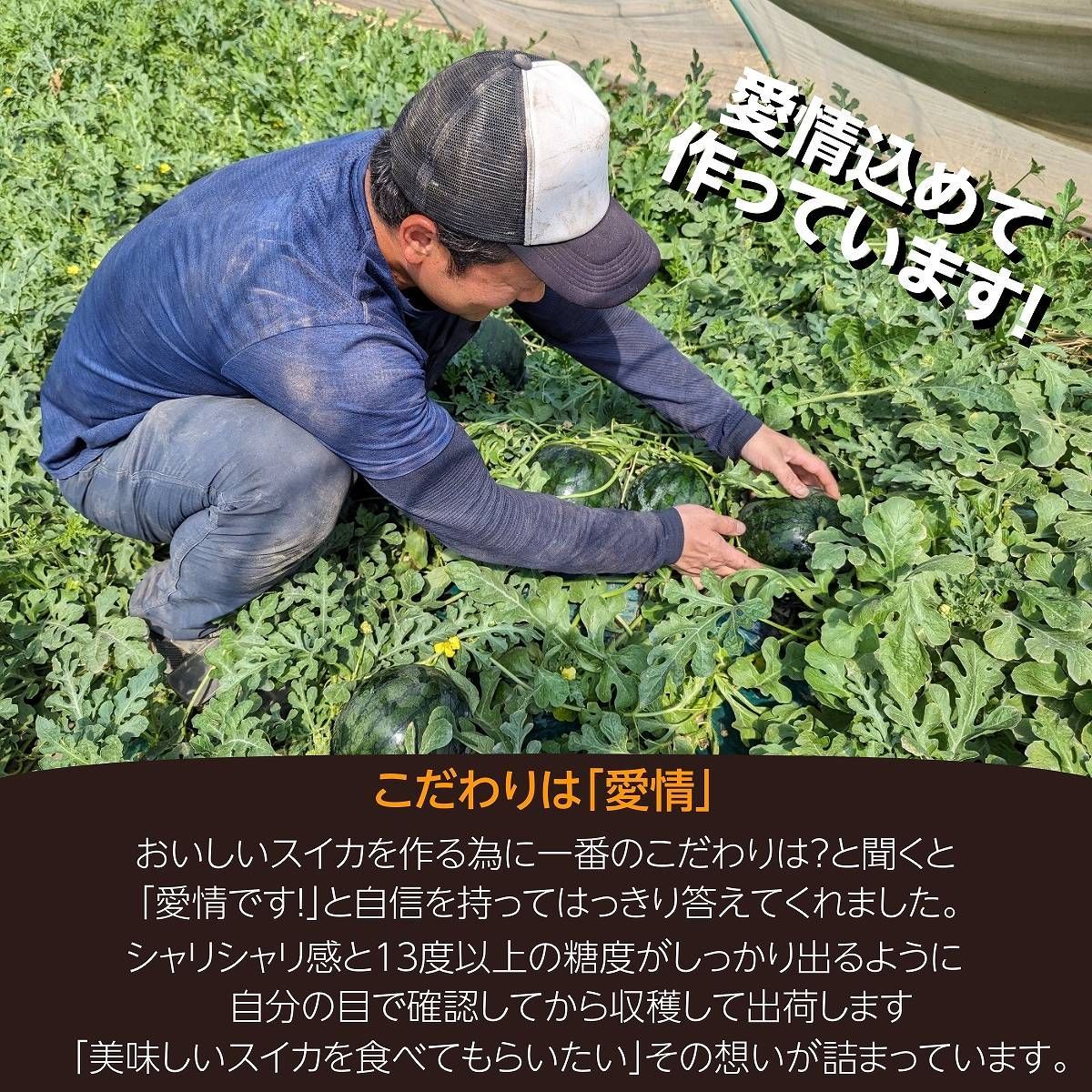 家庭用 自家用
