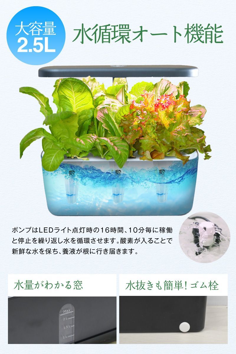 植物