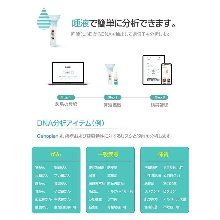 ジェノプラン　DNA検査キット　500項目