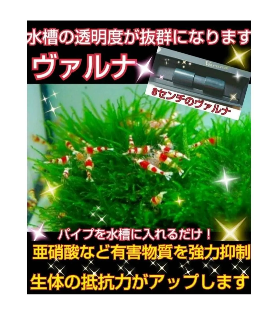 昆虫用品 らんちゅうの飼育者絶賛！水槽の水を綺麗に保つ【ヴァルナ