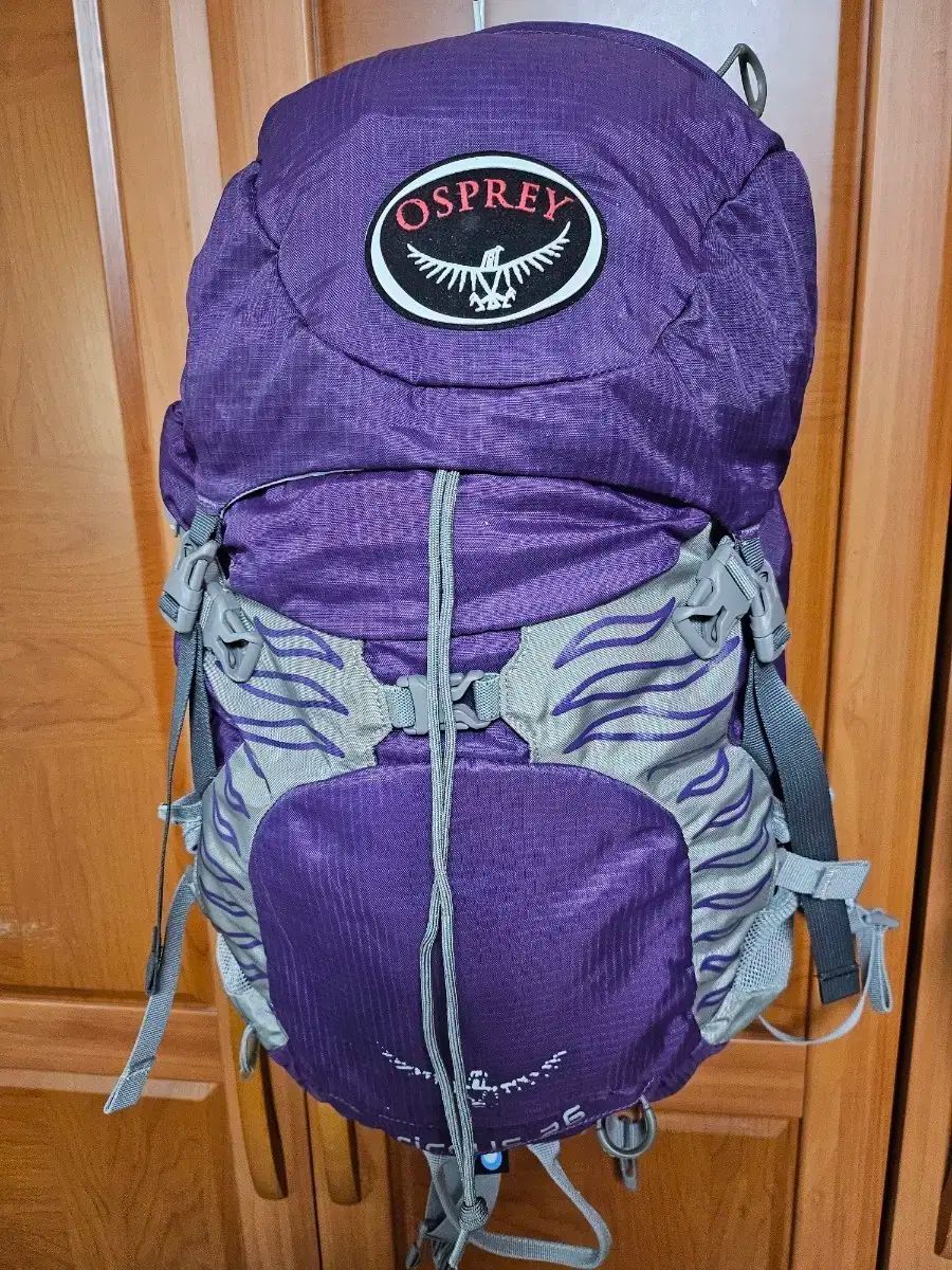 オスプレイ OSPREY リュックサック レディース 26