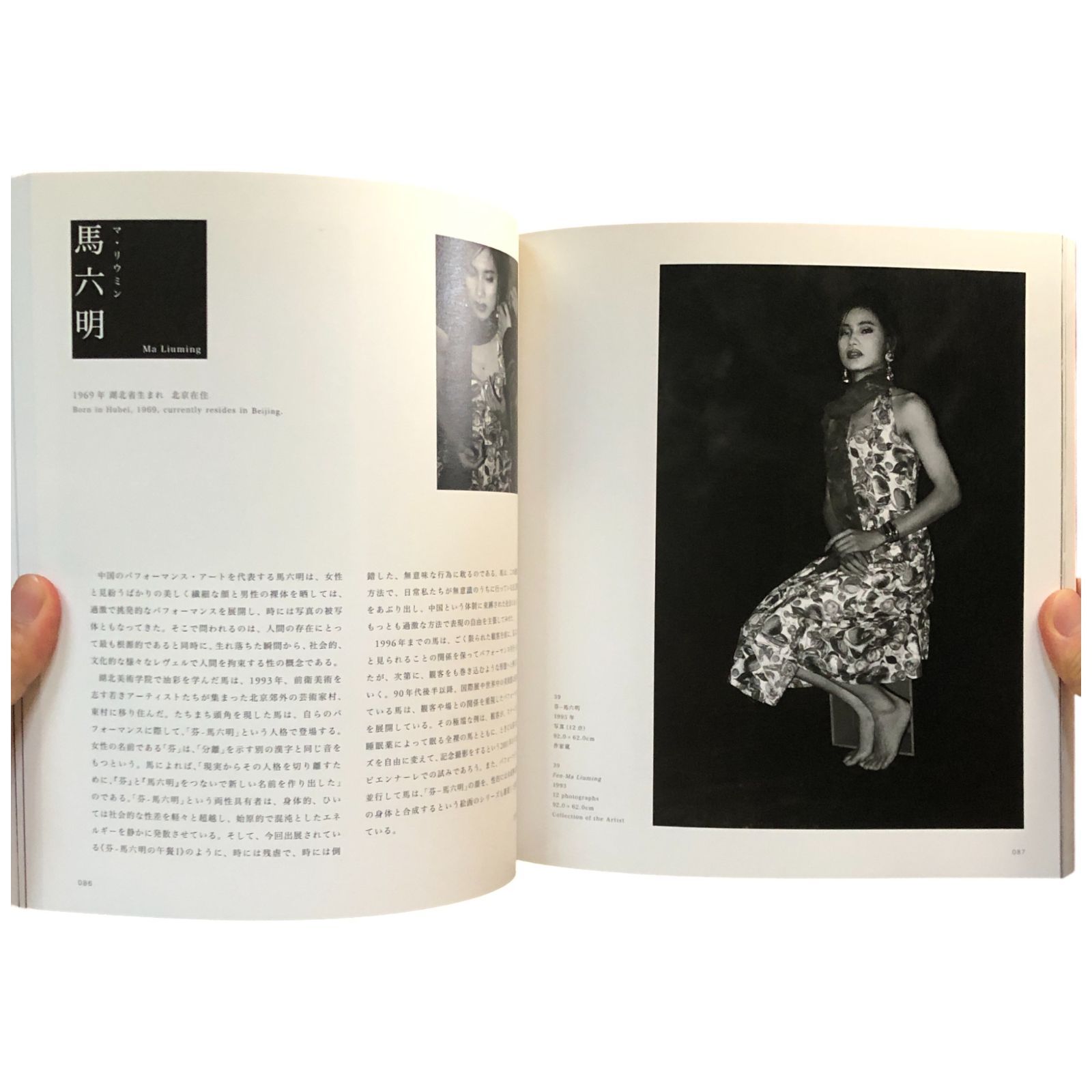 中国絵 アヴァンギャルド・チャイナ ?〈中国当代美術〉二十年? AVANT-GARDE