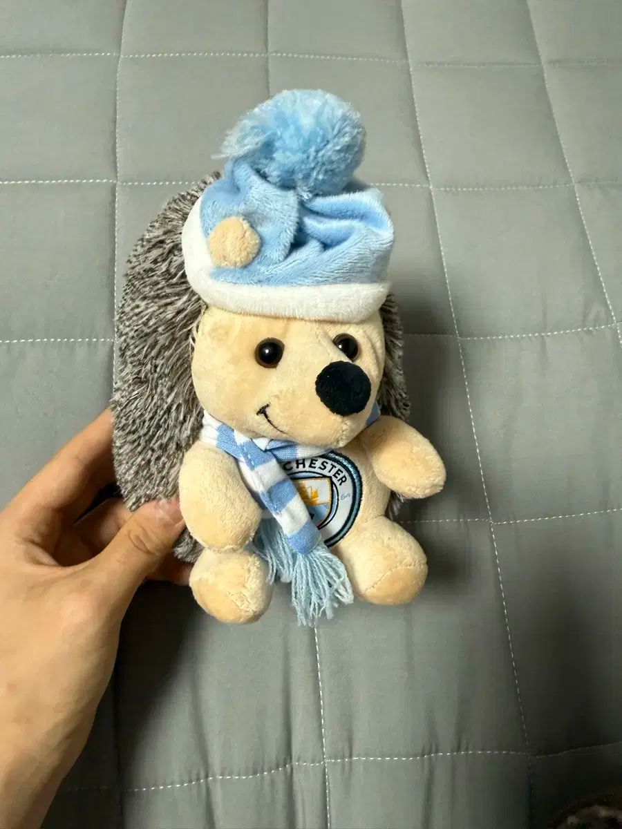 マンチェスターシティ ハリネズミ ぬいぐるみ