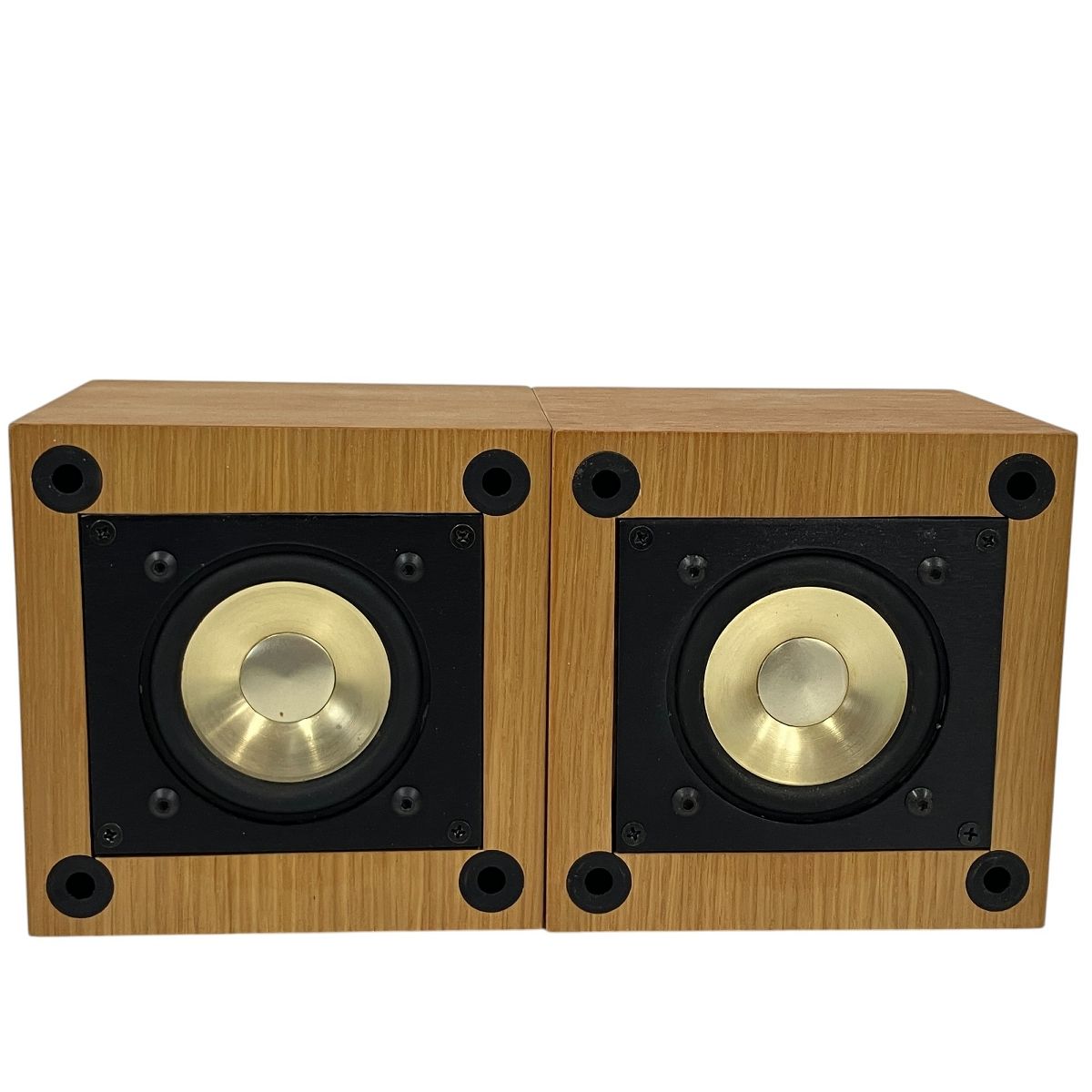 Dynavector DVS-101S ダイナベクター ペア スピーカー 中古