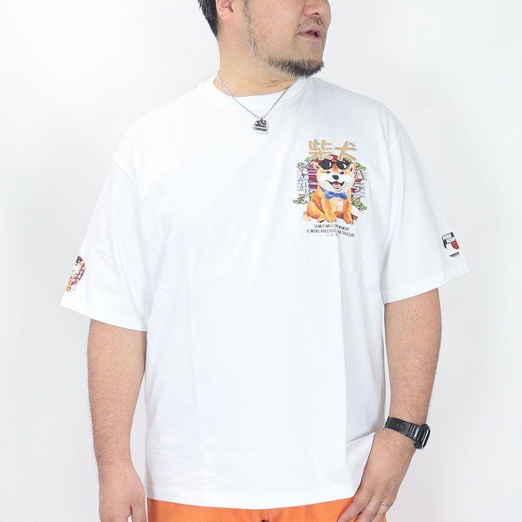 柴犬 SHIBAINU Tシャツ 日本柄 】柴犬Tシャツ 犬Tシャツ