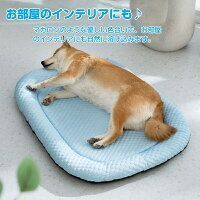 夏用