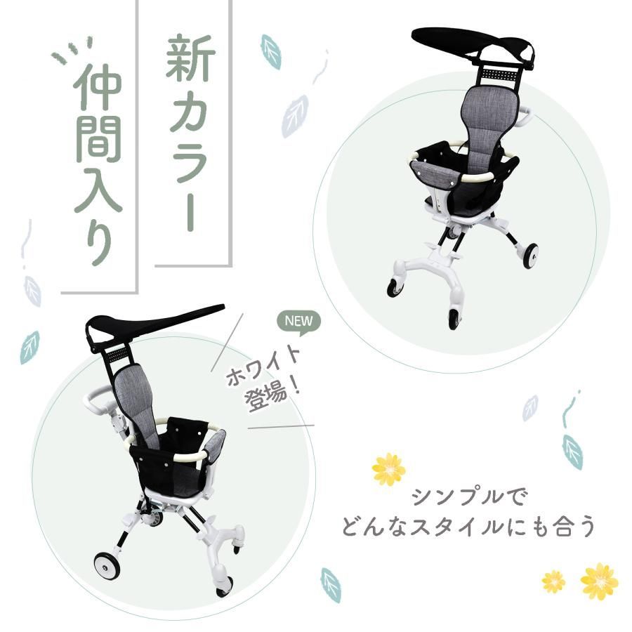 サンルーフ付き ハンディー