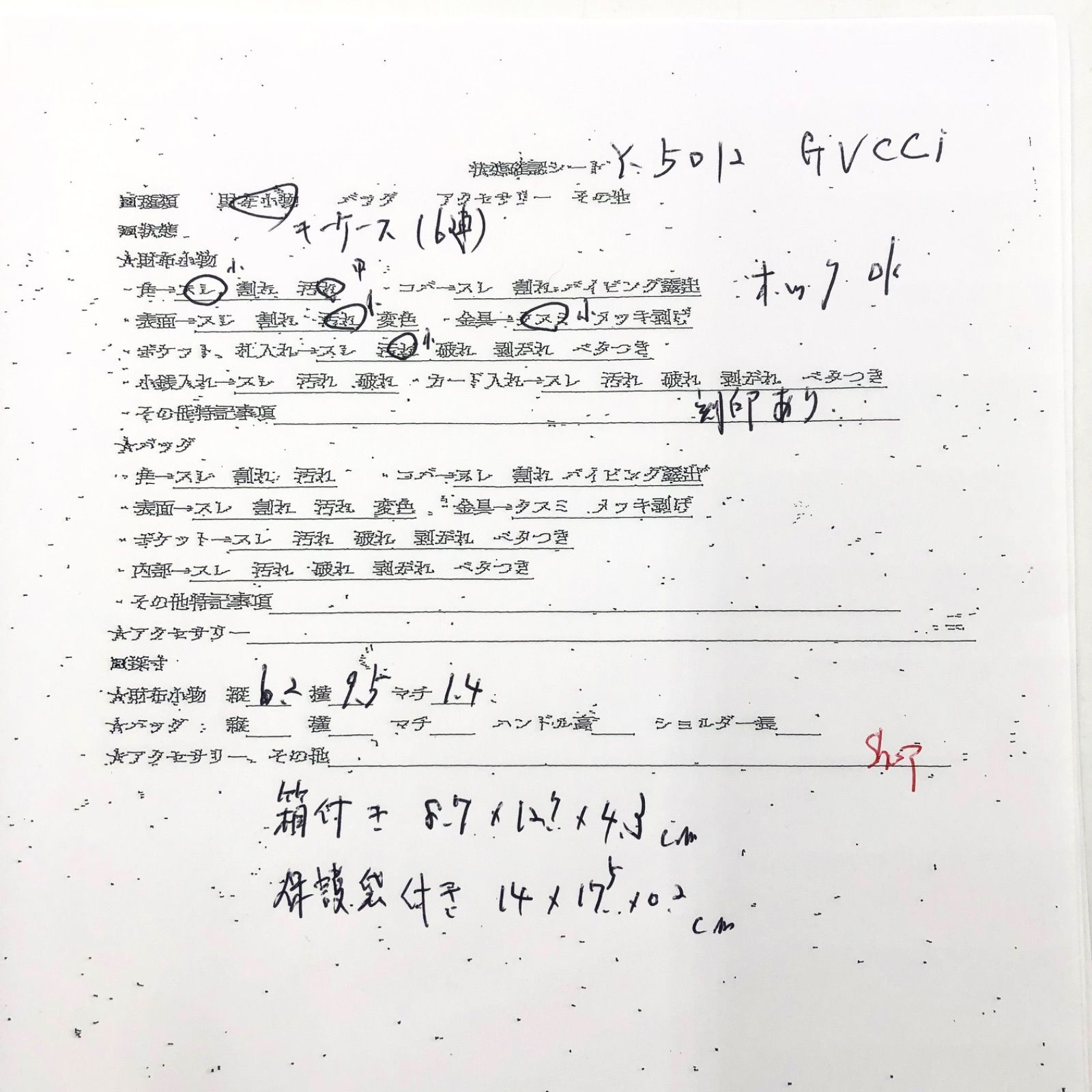 レディース